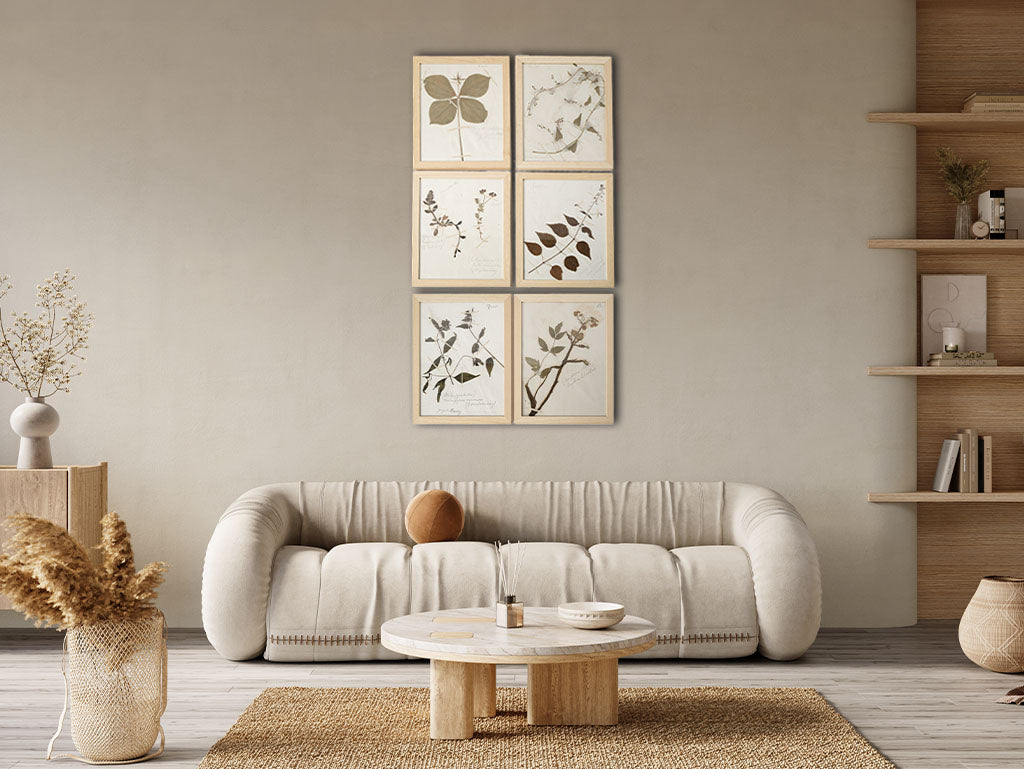 Framed Set of Six Vintage Botanical Herbiers - 13" x 10¾"