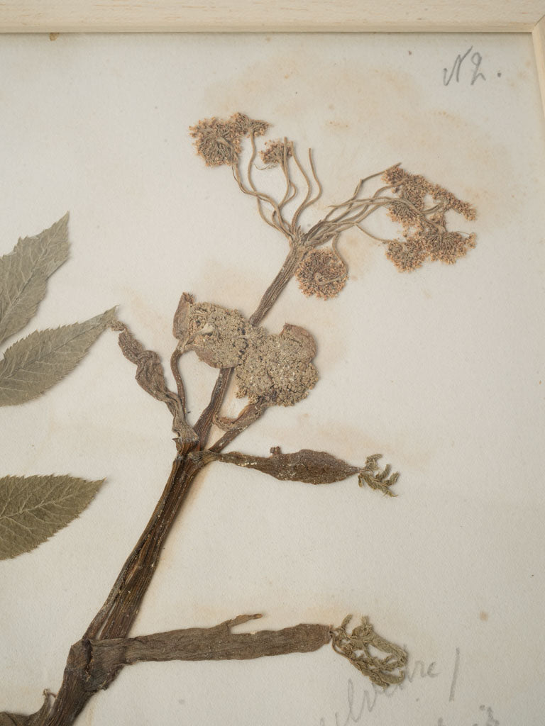 Meticulous detailed botanical wall pieces