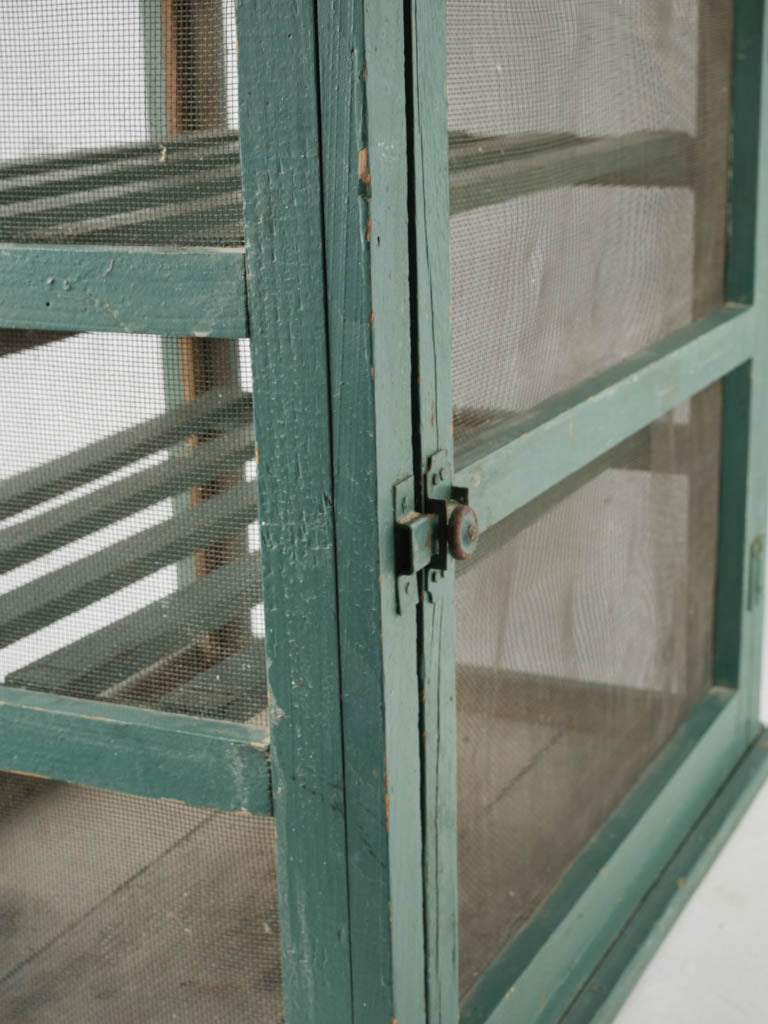 Treated Woodworm-Affected Cheese Structure