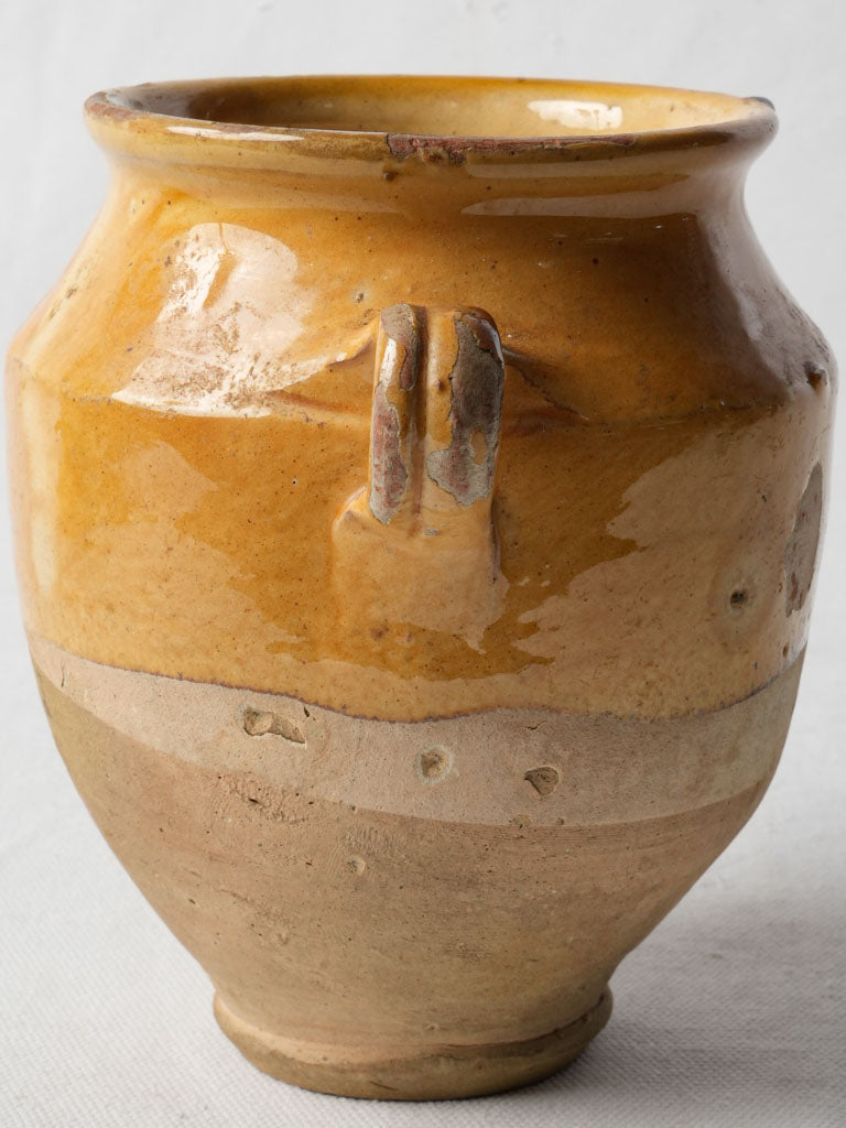 Distinctive twin-handled storage pot