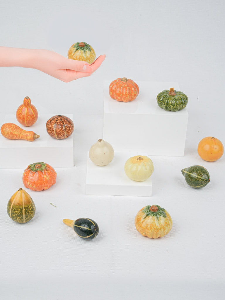 Charming Seasonal Gourds Set