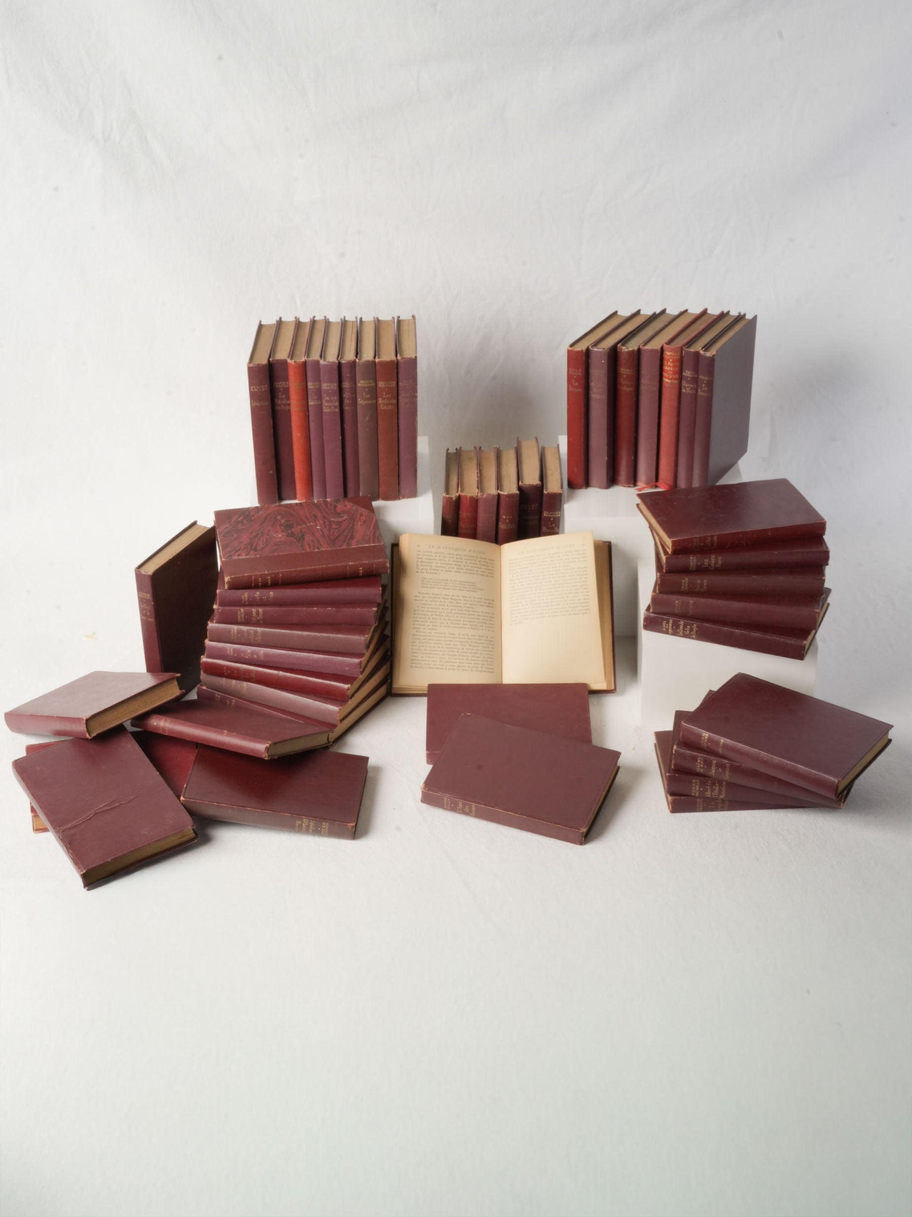 Vintage French leather-look decorative books