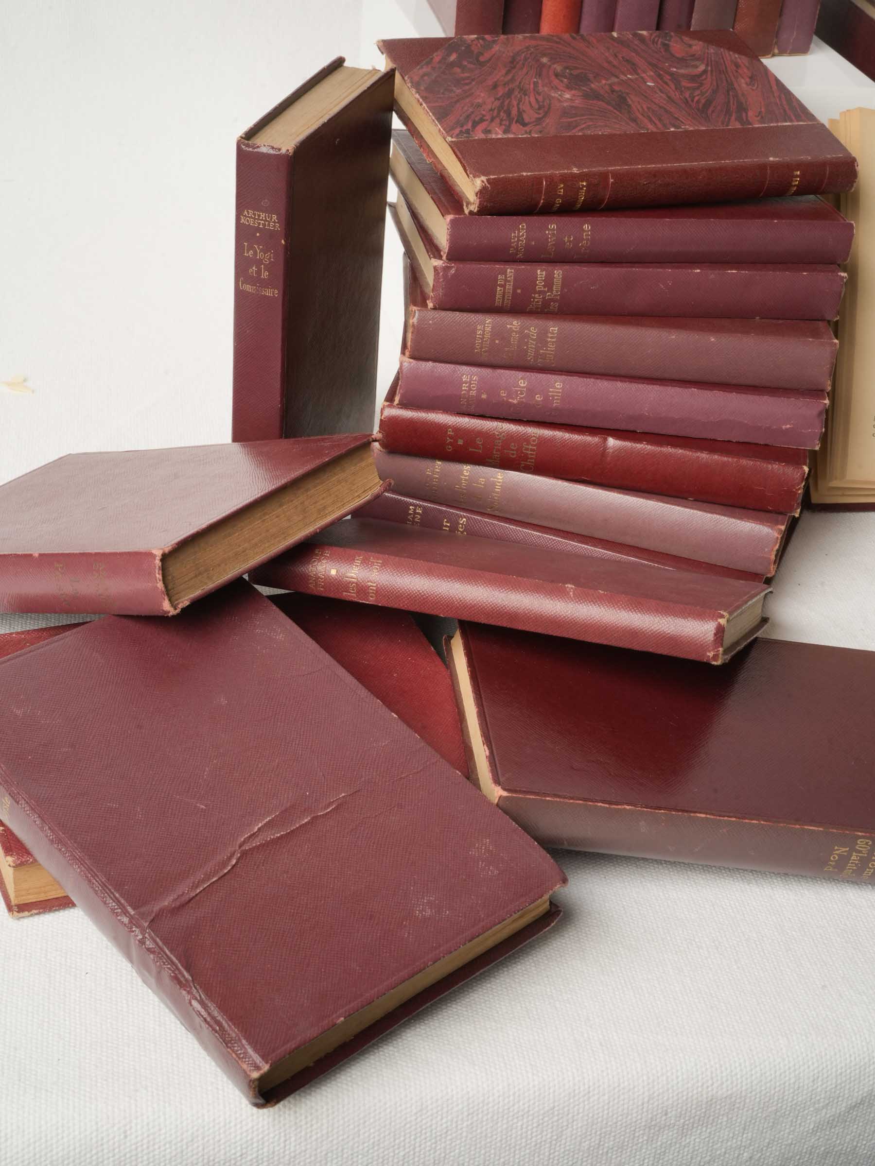 Cultivated character novel collection
