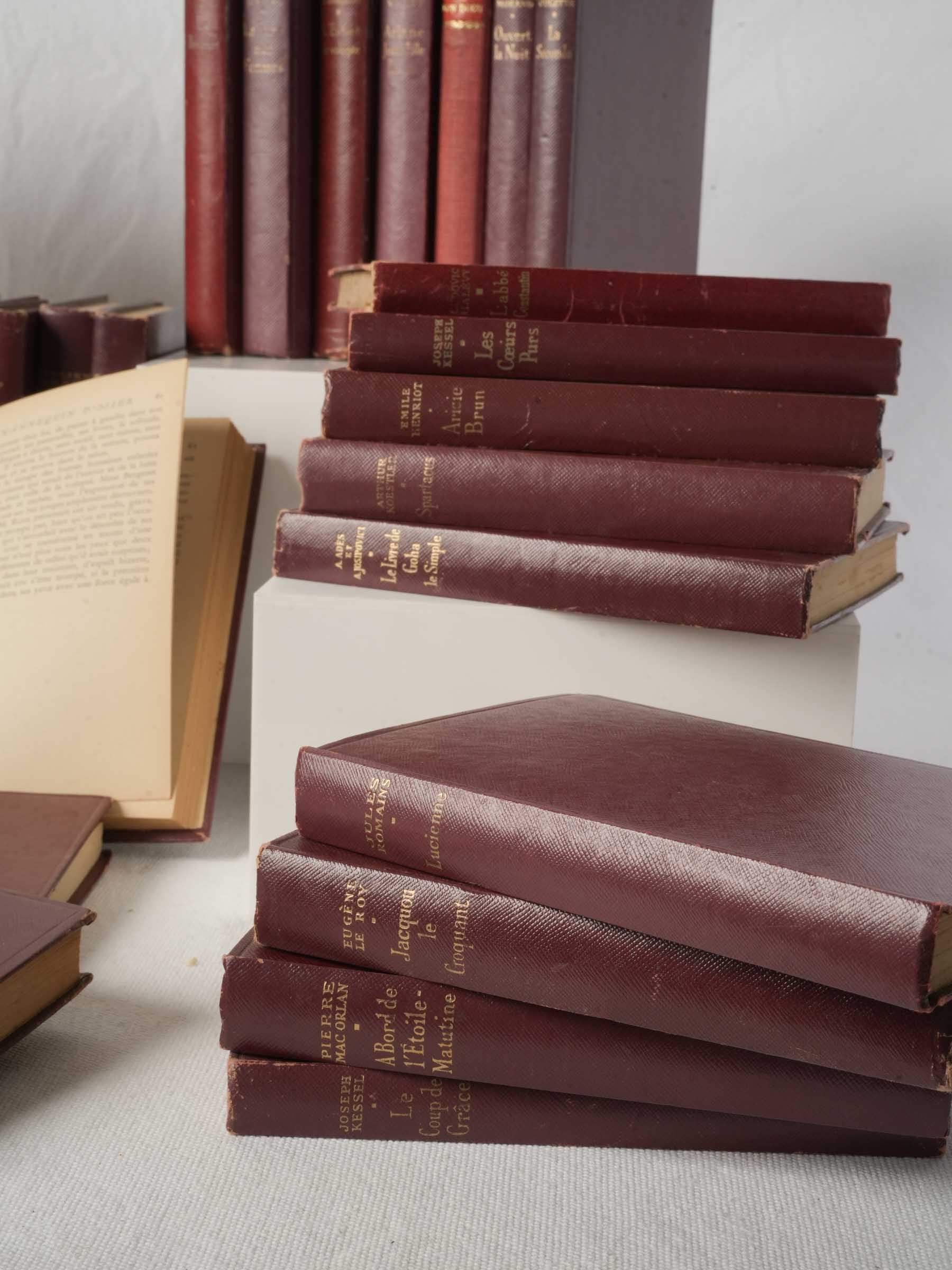 Authentic aged rustic French books