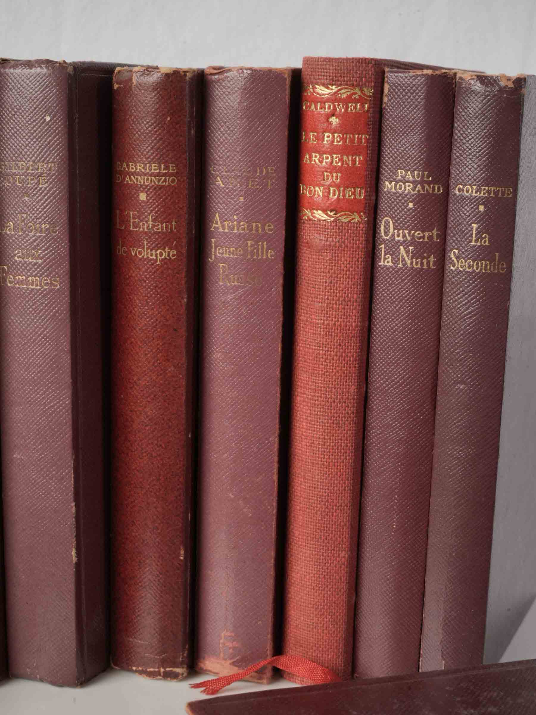 Mellow-toned decorative French books