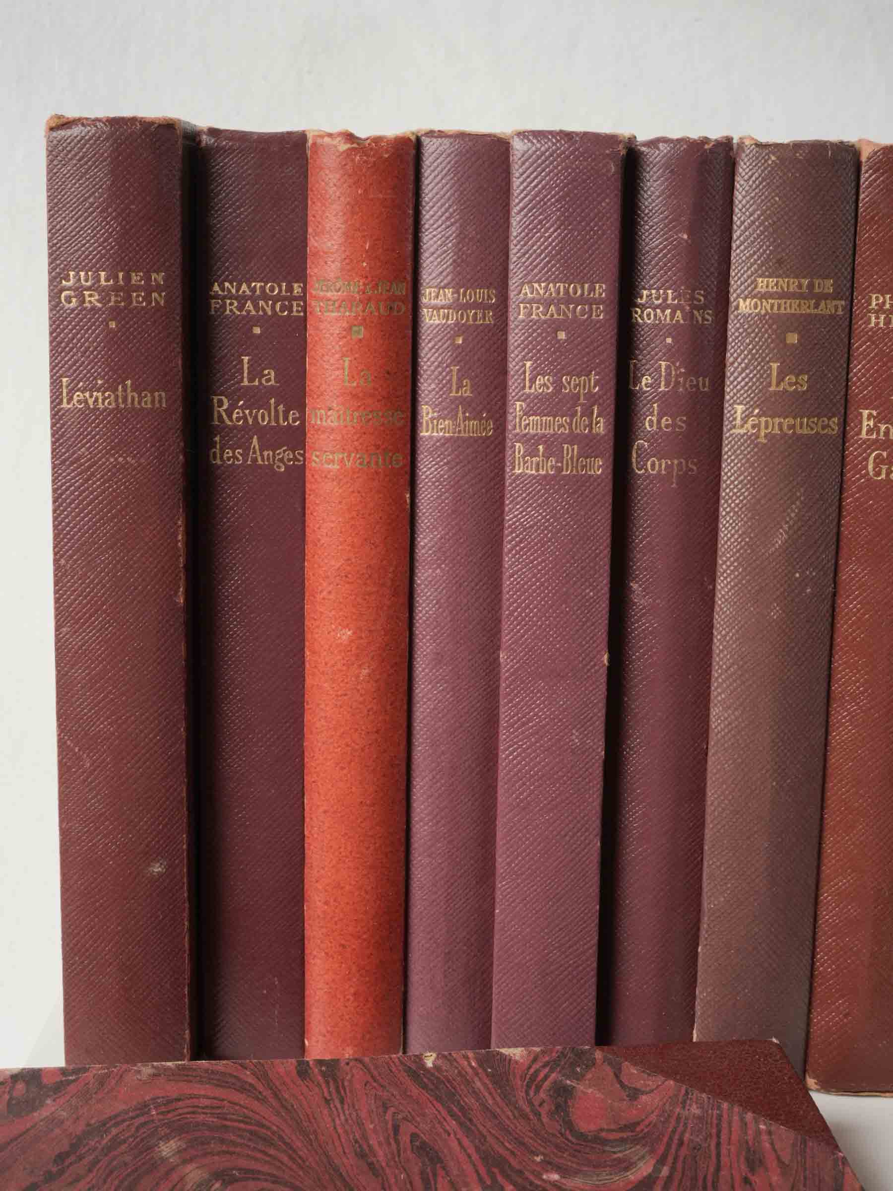 Faded crimson classic literature set