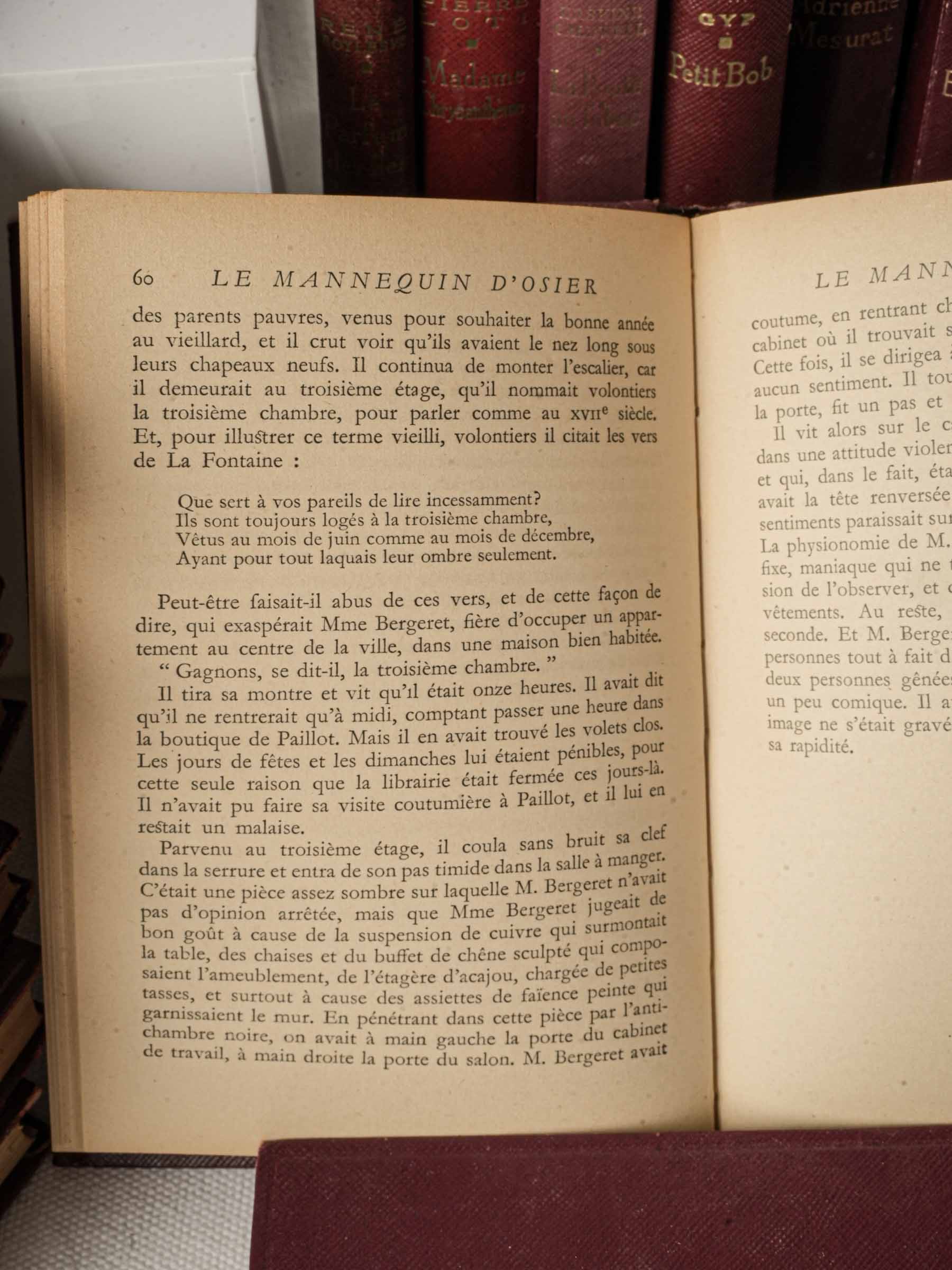 Intellectual vintage French book set