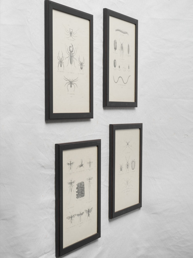 Subtly foxed vintage prints