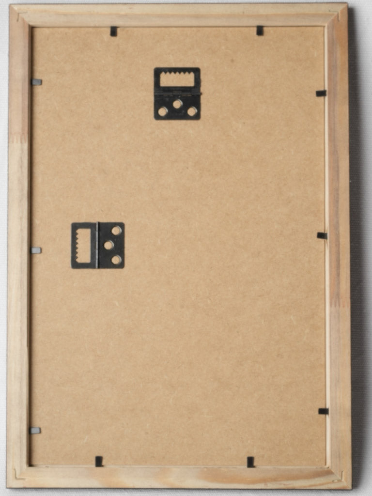 Meticulously illustrated framed depictions