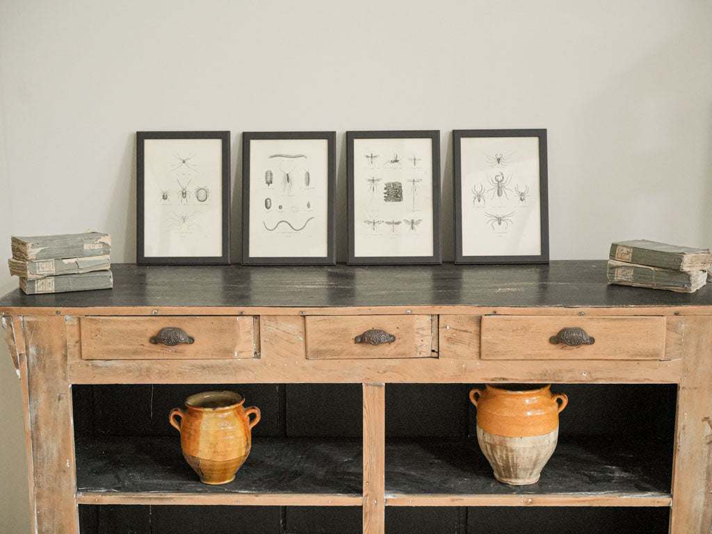 Elegant black frame engravings