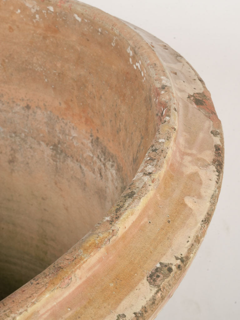 Medallion cartouche signature urn