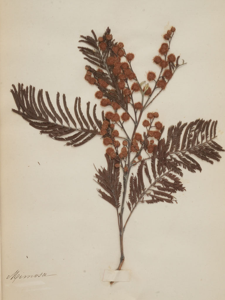 Delicate minimalist wooden framed set