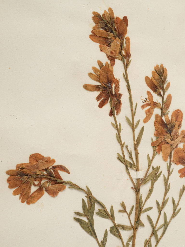 Serene ambiance home decor pieces