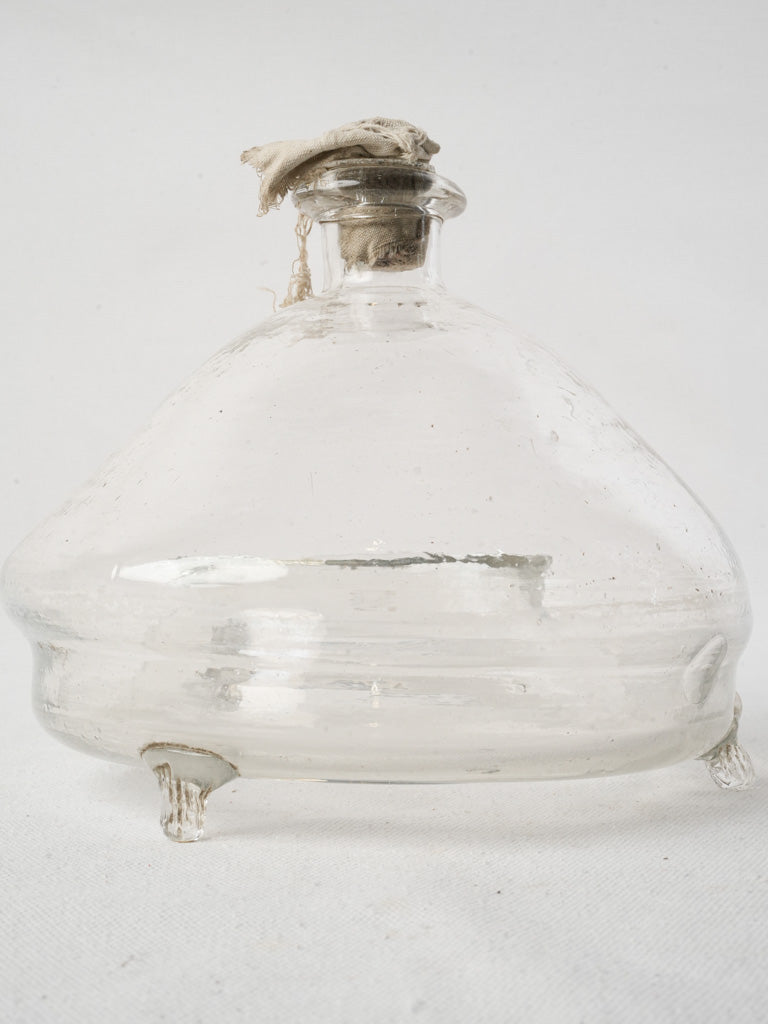 Handcrafted clear glass wasp holder