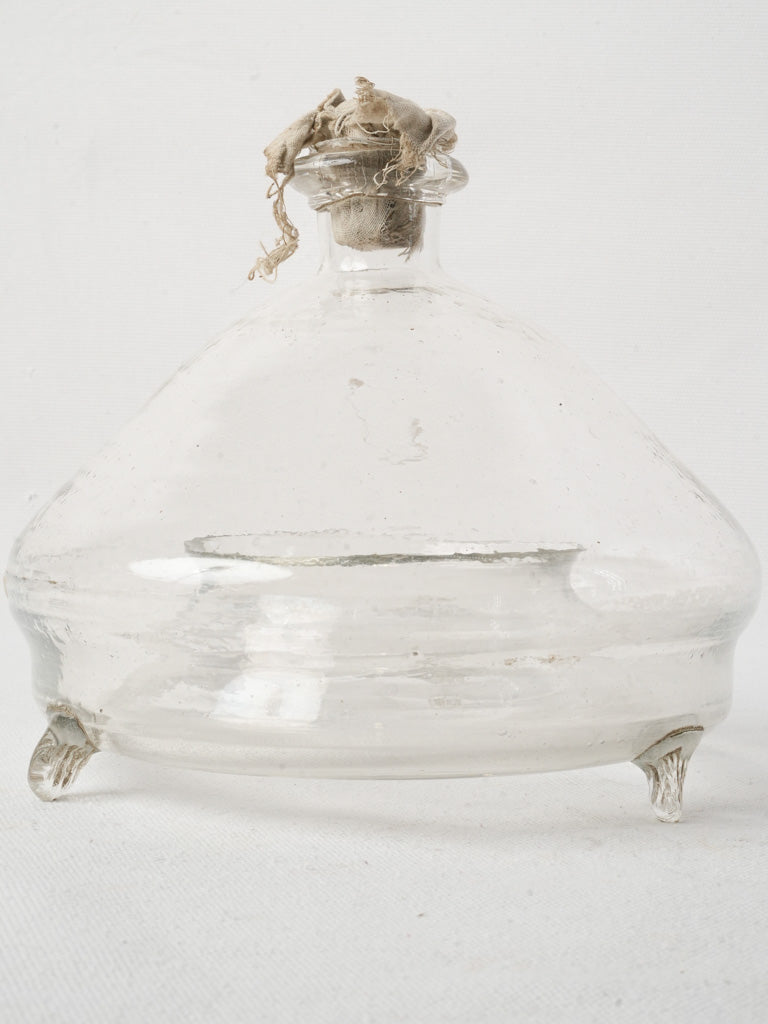 Elegant French vintage insect catcher