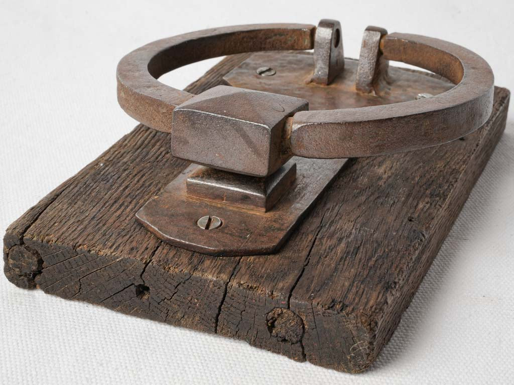 Elegant historical French door hardware