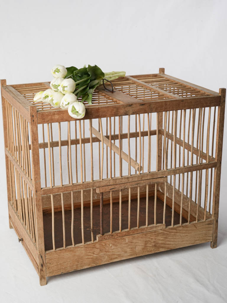 Rustic mid-century birdcage