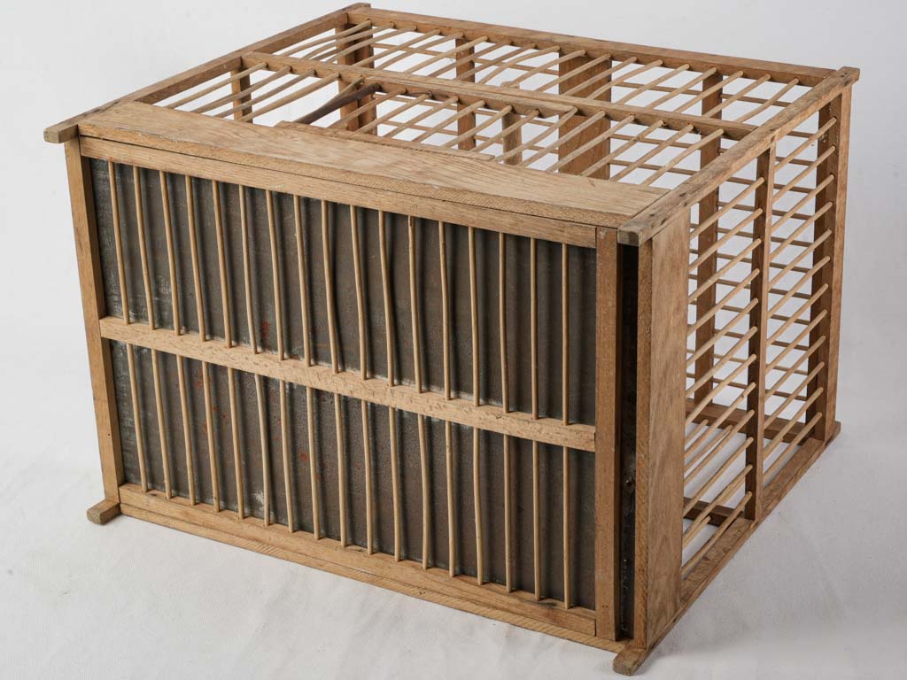 Carrying loop rustic birdcage