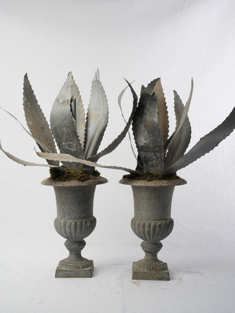 Naturalistic agave plant design