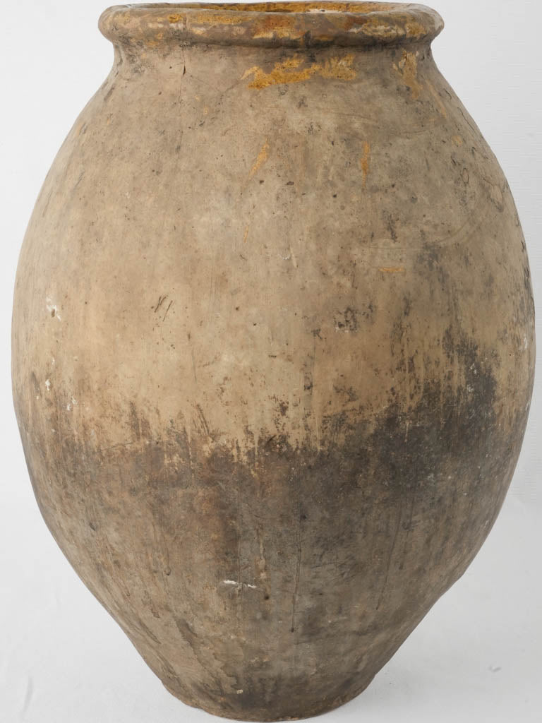 Historic yellow-rimmed Fréjus vessel