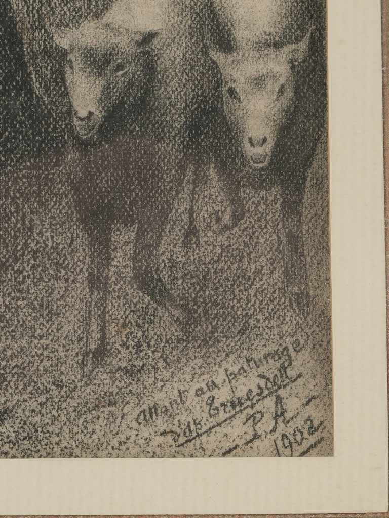 Timeless shepherdess portrait in ink