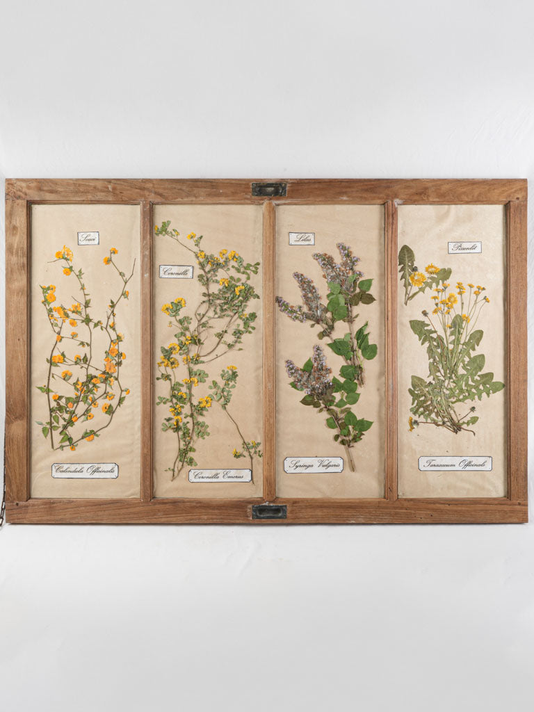 Exquisite vintage herbarium oak frame