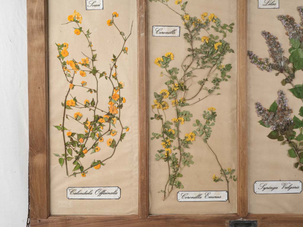 Rustic charm botanical wall decor