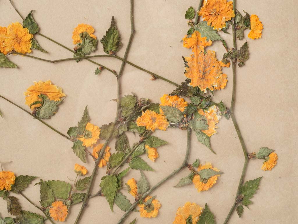 Vibrant preserved foliage oak frame