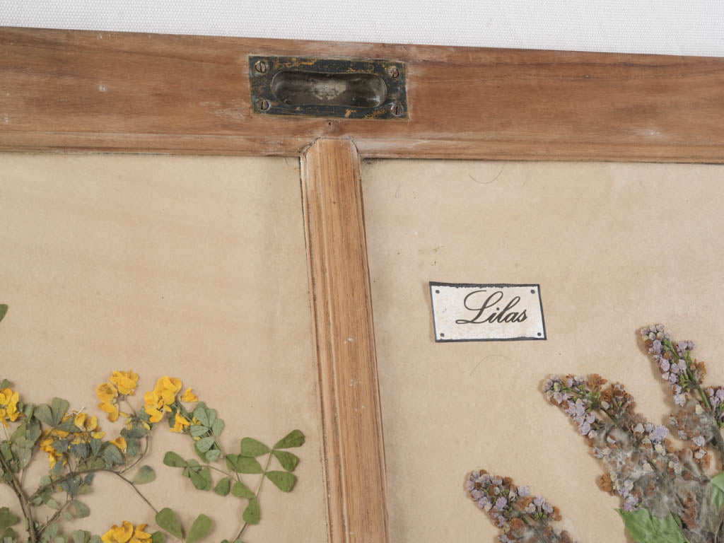 Charming vintage French botanical décor