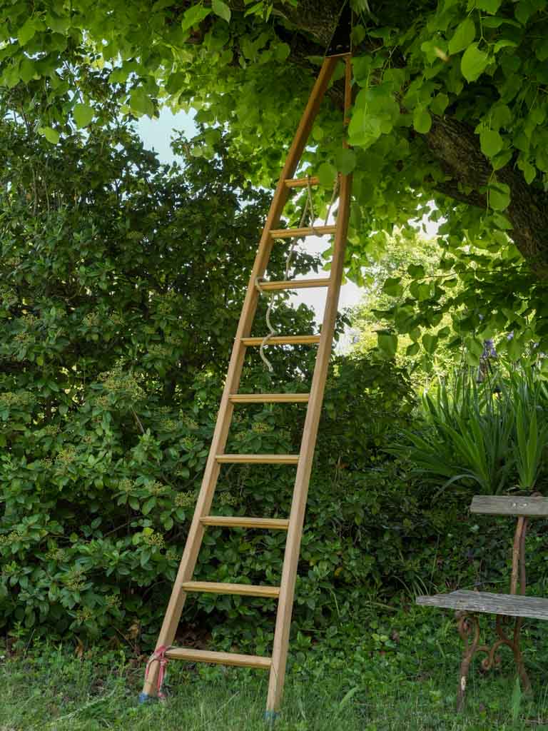 Vintage, Natural, Olive harvest French ladder