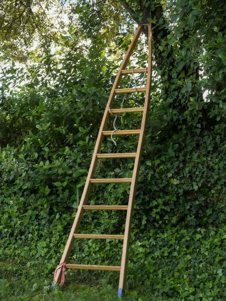 Rustic, Tall, Wooden, Olive harvest ladder