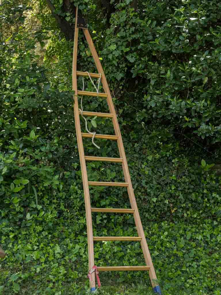 Weathered, Traditional, French, Orchard ladder