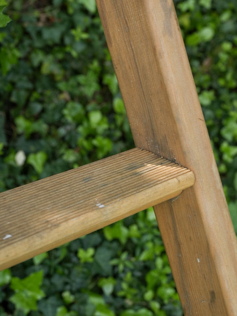 Weathered, Vintage, Traditional, Olive harvest ladder