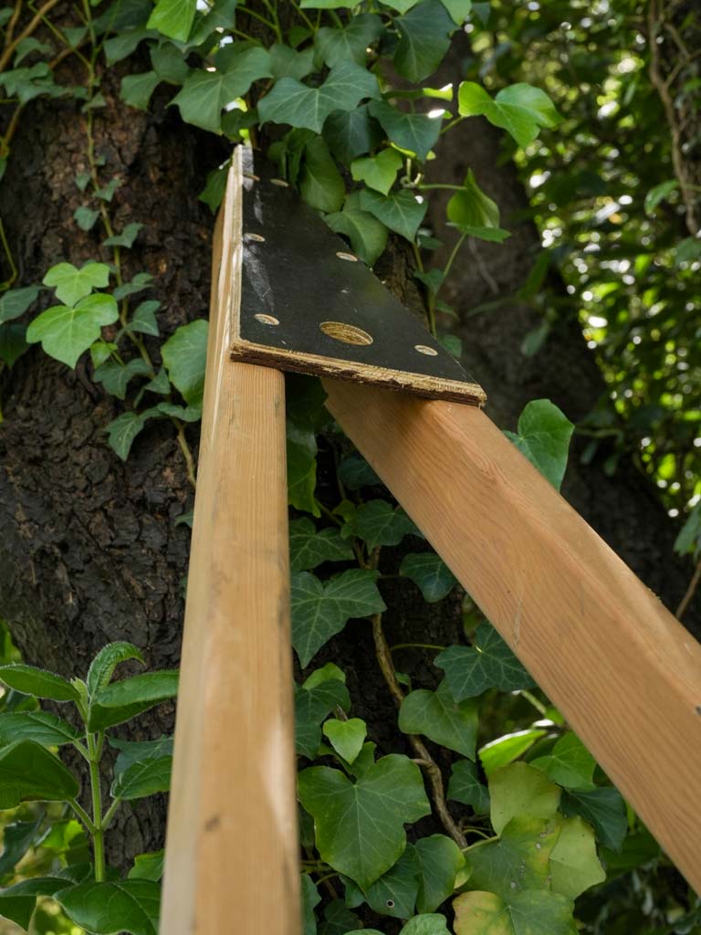 Rustic, Antique, Tall, Wooden, Orchard ladder