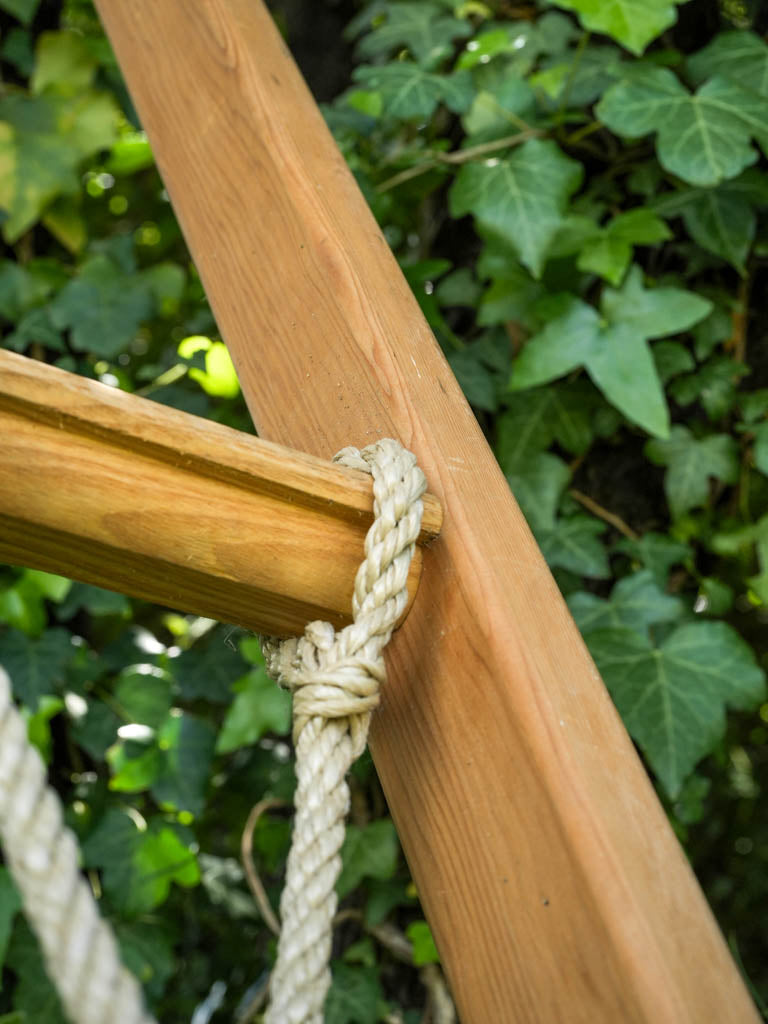 Traditional, Aged, Olive harvest French ladder