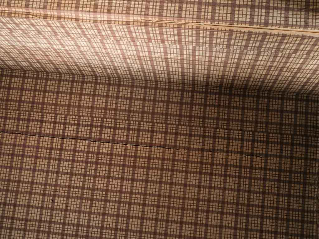 Quietly adventurous tobacco brown trunk