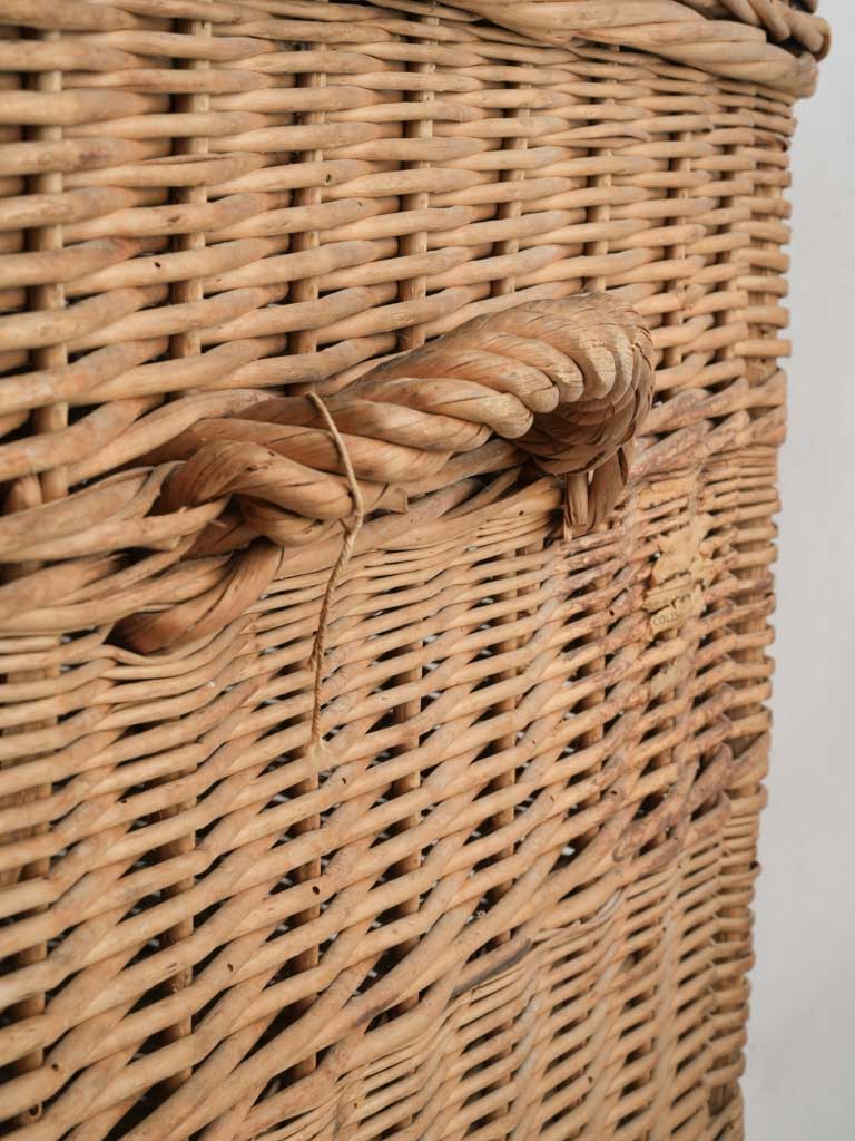 Timeless mid-century French luggage trunk