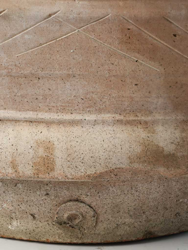 Timeless Tuscan olive oil jar