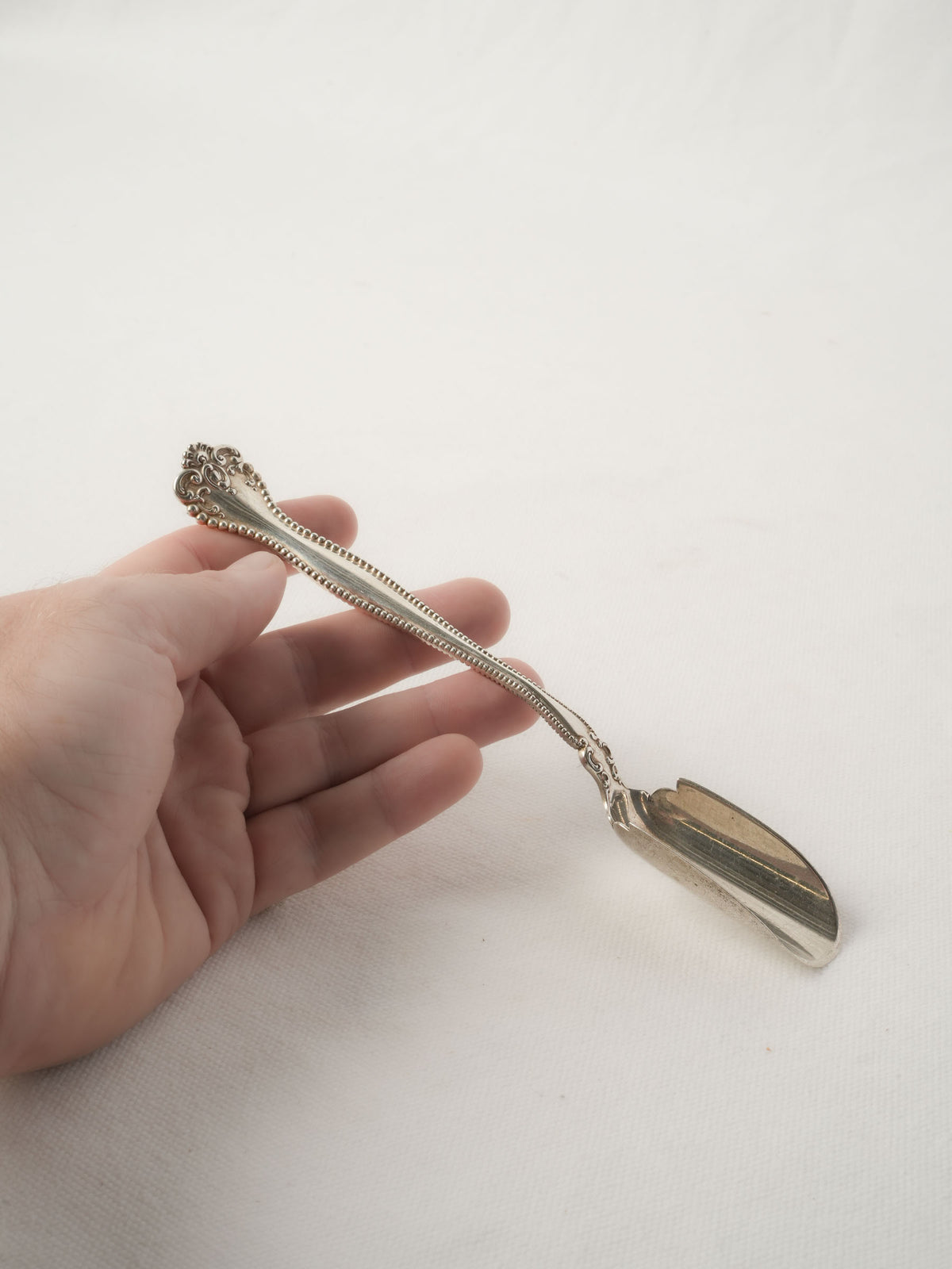 Antique Cheese Serving Spoon