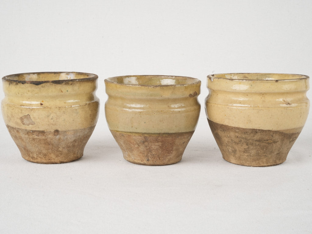 Well-loved rustic French flower pot