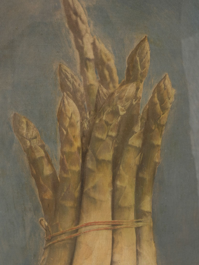Historical Asparagus Art in Gilded Frame