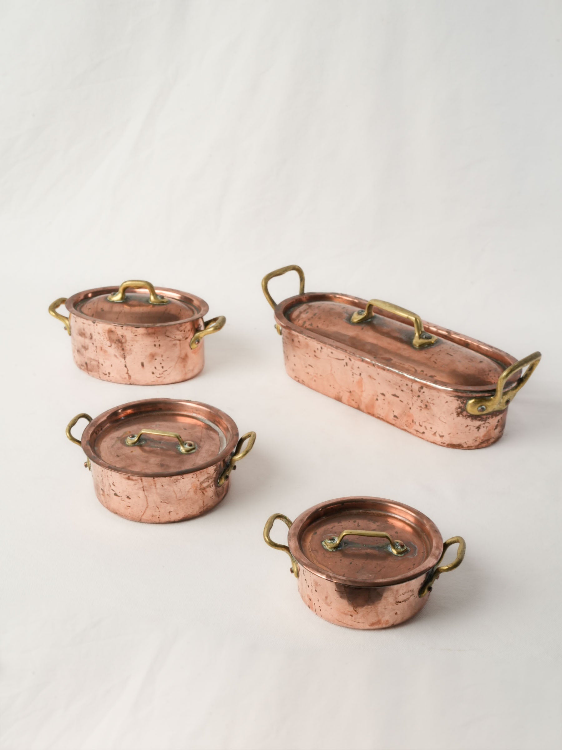 Set of four Copper Lidded Casseroles with Fish Kettle
