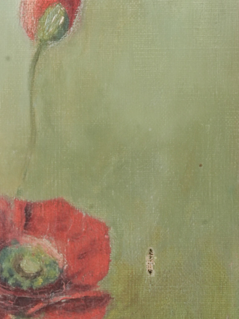 Vintage poppy oil painting on canvas