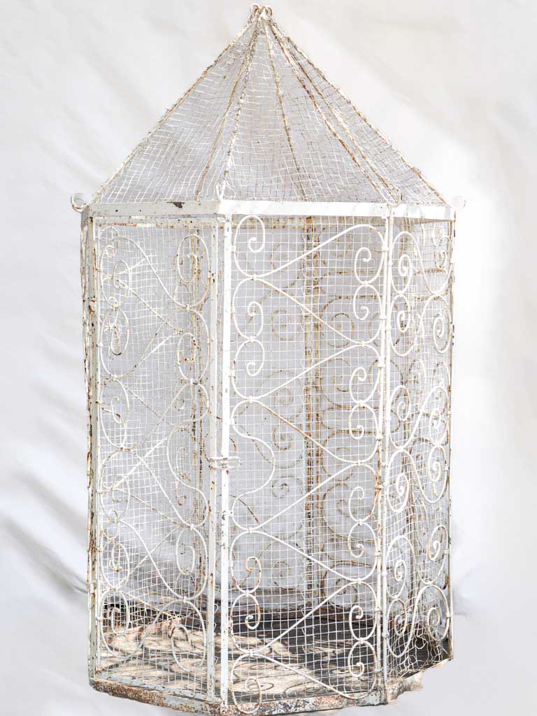 Ornate scrollwork iron garden aviary
