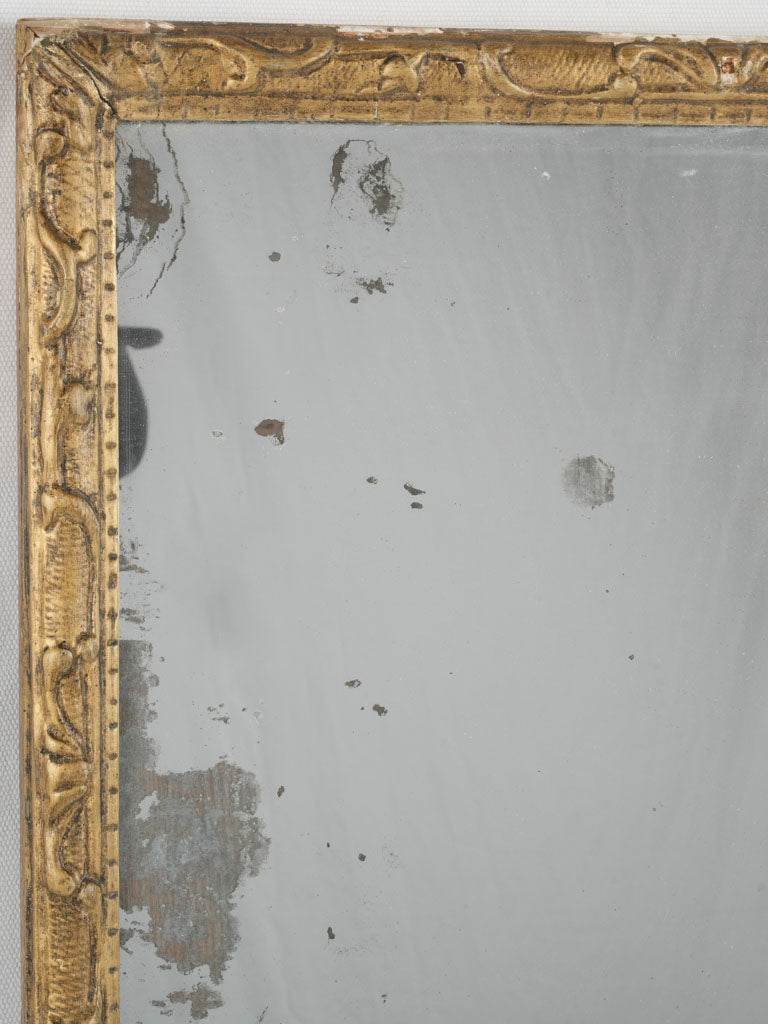 Classic giltwood Louis XIV mirror