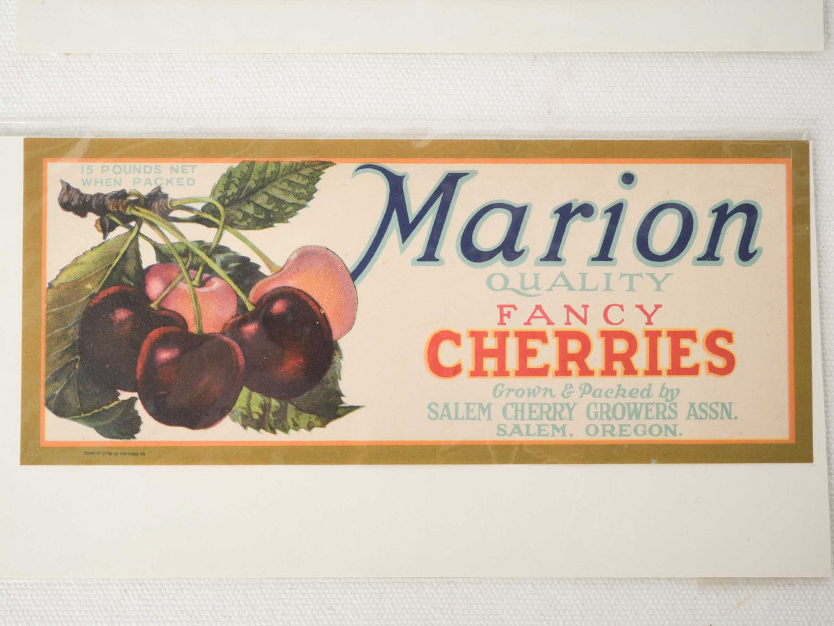 Original mid-century fruit crate artwork