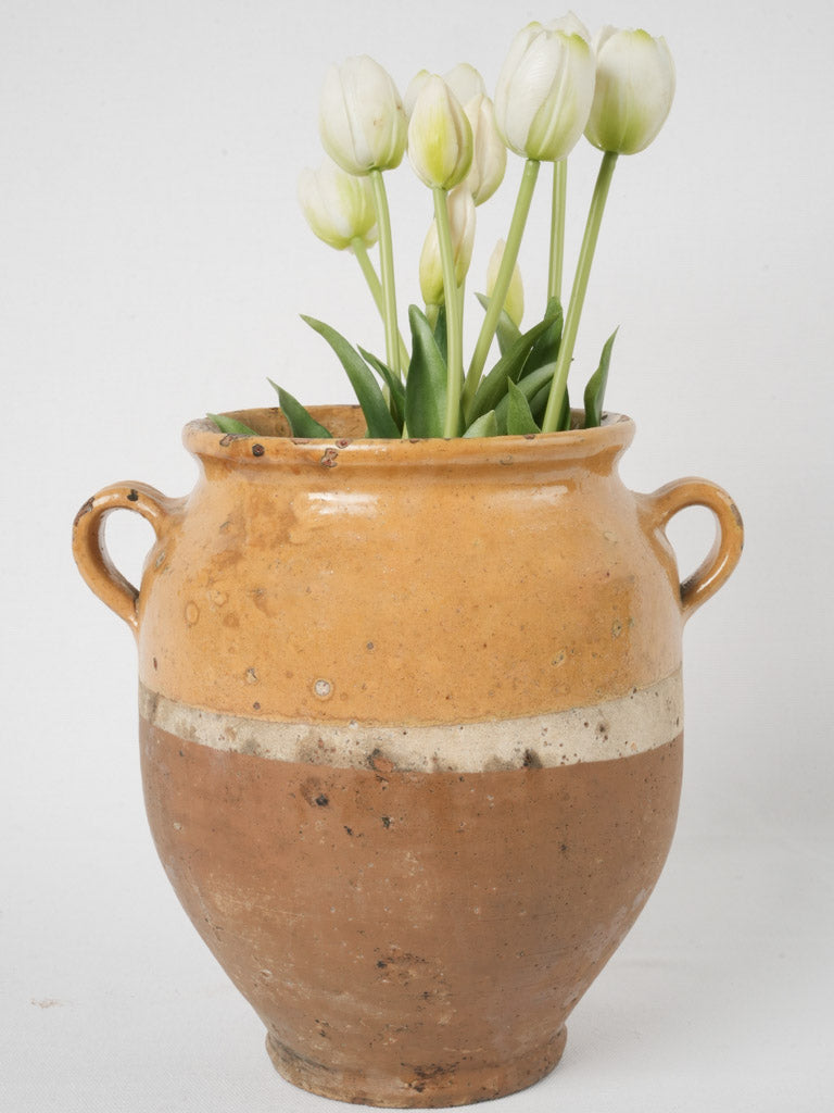Rustic Terracotta French Confit Pot