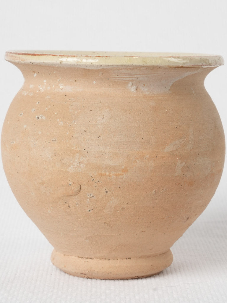 Late 19th Century Terracotta Pot