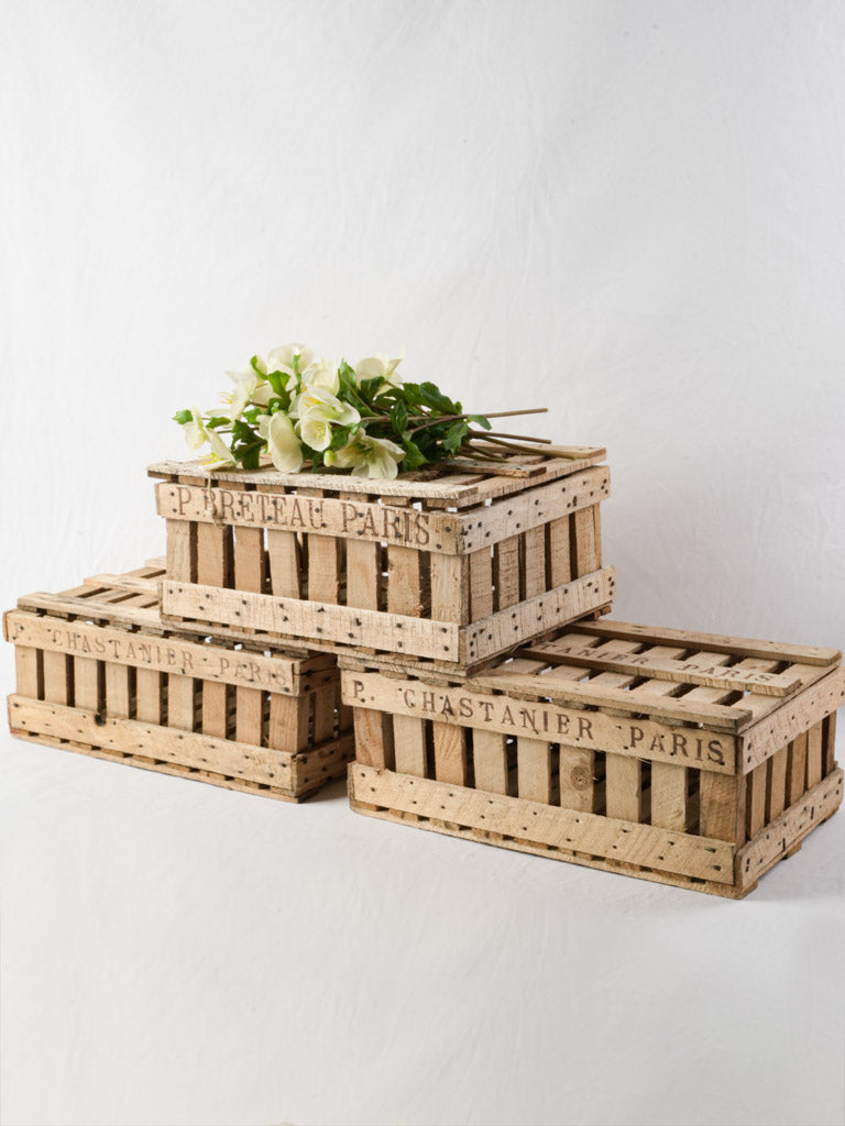 Rustic poplar mid-century storage crates