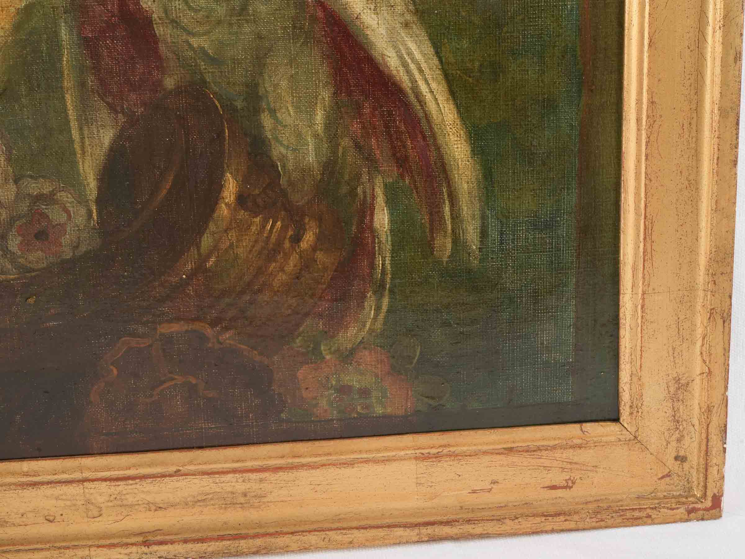 Exotic birds French paintings set